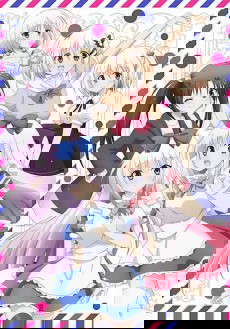 앨리스 or 앨리스