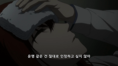 1화 [극장판]슈타인즈:게이트 부하영역의 데자뷔