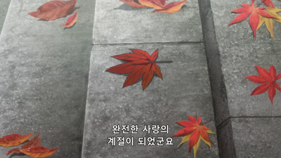 11화 루킹 포 메모리즈