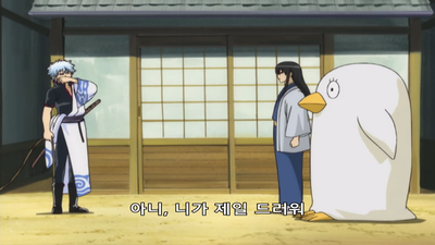 15화 애견대회