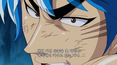 33화 정면 승부! 격돌, 토리코 대 토미로드!