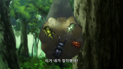 17화 섬의 시간