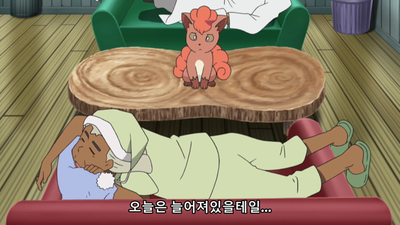 87화 알로라의 위기! 반짝임을 먹는 어둠!!
