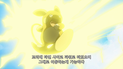 13화 알로라 팬케이크 대 레이스