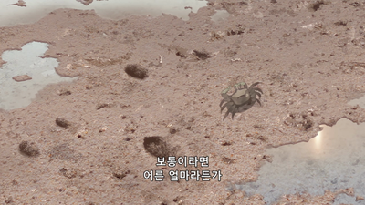 5화 조개잡이와 고문  