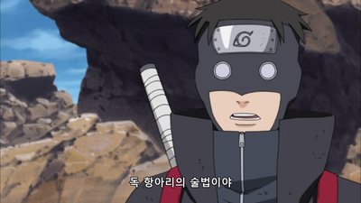 317화 시노VS토루네!!