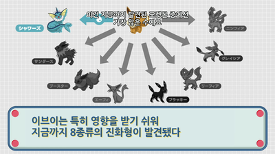 119화 하루와 이브이 진화의 궤적