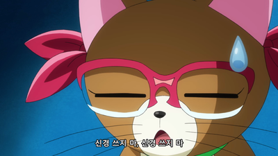 61화 캣츠 듀얼