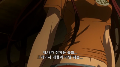 1화 OVA: 에어기어 검은 날개와 잠자는 숲 제 1화