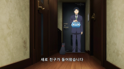 10화 추위도 더위도 때가 되면 끝난다