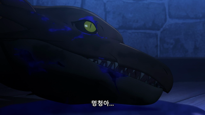 11화 해가 질 때