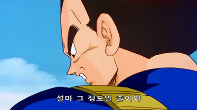 66화 셀 편: 하나로 돌아갈때가 왔다... 피콜로 최강을 향한 결의!