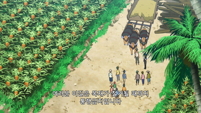9화 주인포켓몬은 데카구스