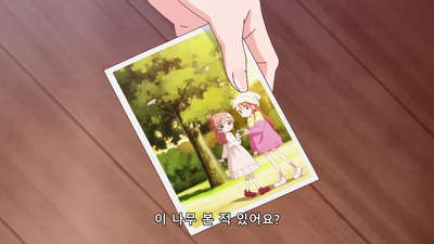 37화 두 사람은 단짝♡ 추억의 나무!