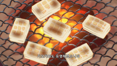 13화 OVA: 카모가와 데이즈
