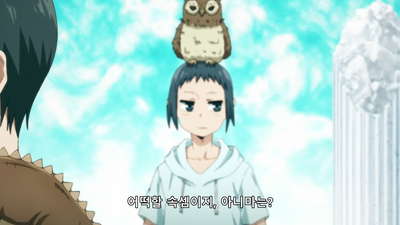 12화 정령 아니마와 짐승 기사단