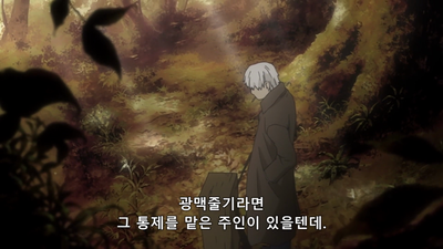 11화 산이 잠들다
