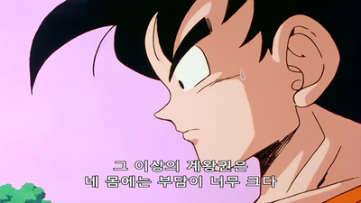 13화 사이어인 편: 이게 계왕권이다!! 한계 배틀의 오공 VS 베지터