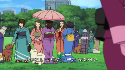 72화 A 강아지 사교모임 B 가츠라 운전면허 시험