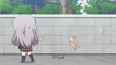 18화 냥냥타임