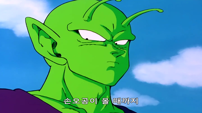 11화 사이어인 편: 안늦을 것인가 손오공!? 전투재개까지 3시간