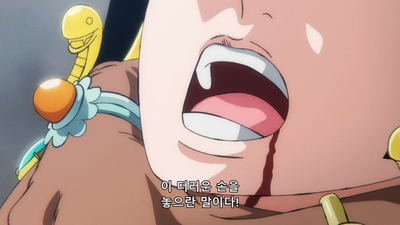 1088화 루피의 꿈