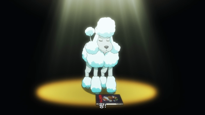 92화 동물 스타 탄생