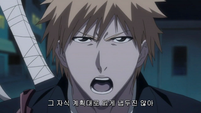 322화 돌격! 루키아vs루키아