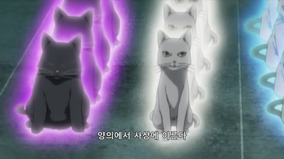 23화 체인질링
