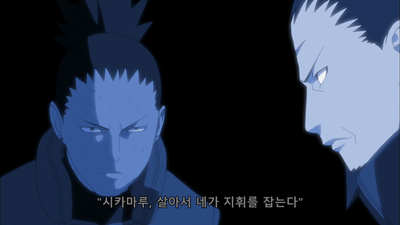 365화 닌자의 춤을 추는 자들
