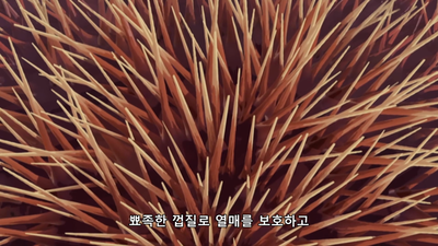 125화 토리코의 신기술 "네일건"!!