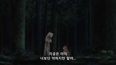 12화 변경의 팔라딘