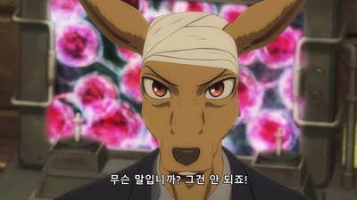 11화 과일의 껍질을 벗기며