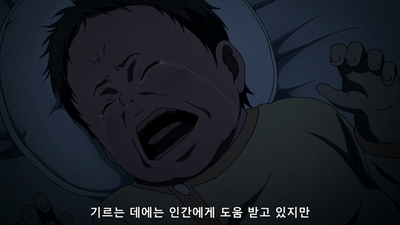 13화 슬픔이여 안녕