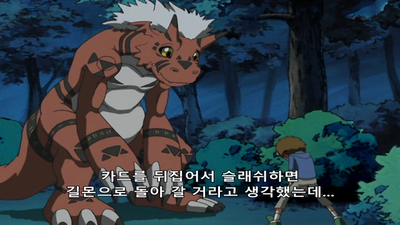 9화 그라우몬 다이어트 대소동!