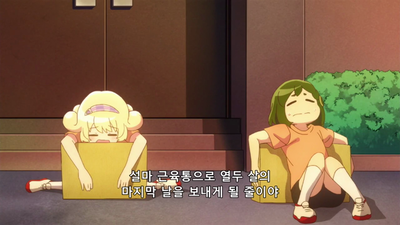 19화 생일 맞은 유메짱 합숙중