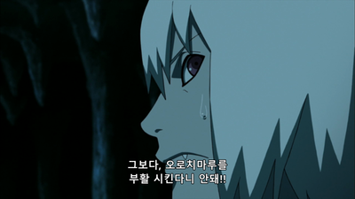 341화 부활!! 오로치마루