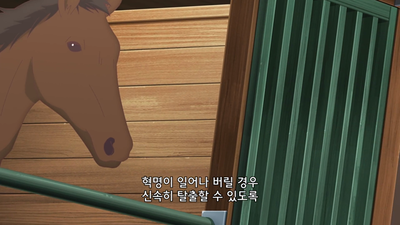 5화 미야 공주, 설레다