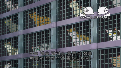 192화 고양이 호우이치 3편