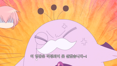 11화 곳칭 IN 메릴랜드
