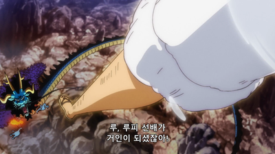 1078.5화 루피 선배 응원 기획! 발트의 비밀의 방4!