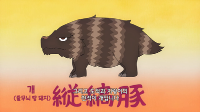 11화 잠어몰이 (전편)