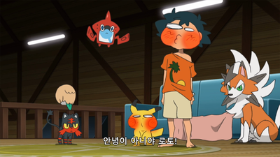 44화 사토시와 호시구모 신기한 만남!!