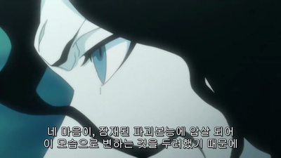 306화 지키기 위한 이치고vs 빼앗으려는 천쇄참월 