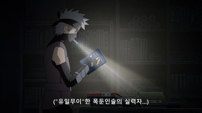 351화 하시라마 세포