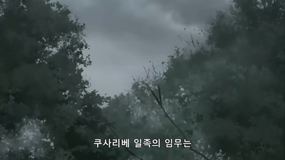 13화 꿈의 이치