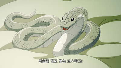8화 아마미야 유우히와 짐승 기사단(후편)