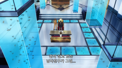 2화 금색의 추적자