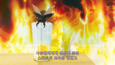 7화 괴도?놀연